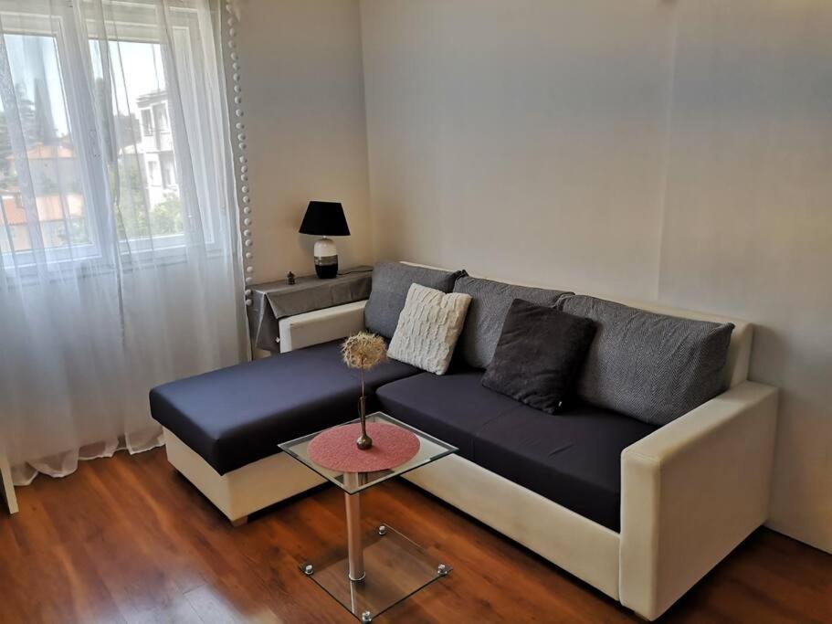 Apartment Leda