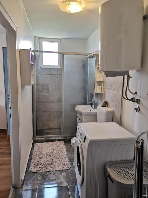 Apartment Leda