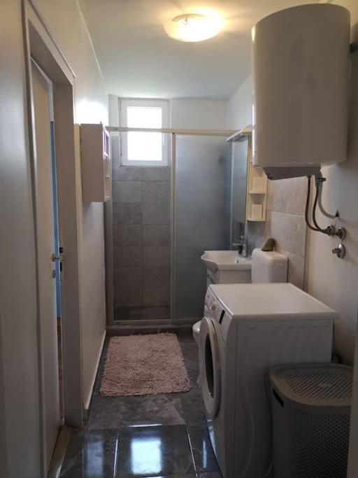 Apartment Leda