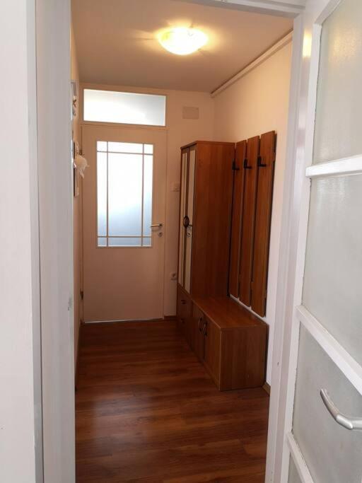 Apartment Leda